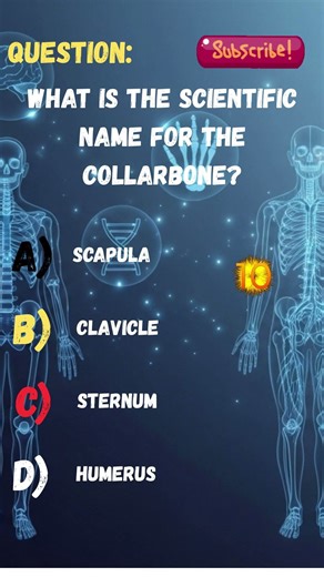 What Is the Scientific Name of the Collar Bone? 🦴🤔 #shorts #quiz