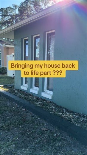 Bringing My House Back to Life: DIY Home Projects