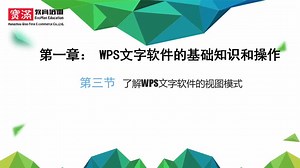 066.了解WPS文字软件的视图模式
