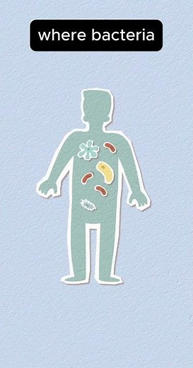 Why Is Poop Brown? 💩 The Simple Science Explained