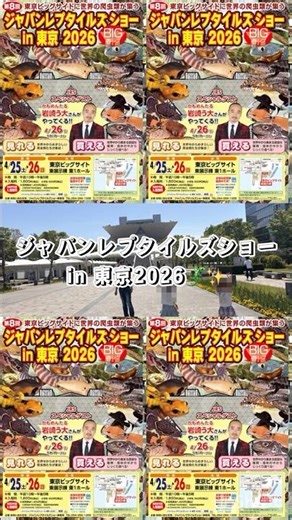 【初投稿】ジャパンレプタイルズショーへ行ってきました