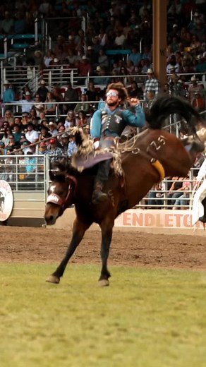 Pendleton Round-Up & HC on TikTok