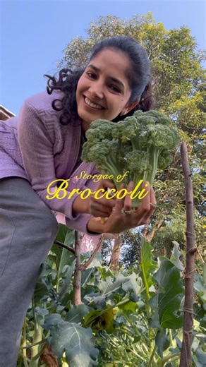 Store the broccoli for 6 months🌿 #broccoli #recipe #homegrown #gardening #garden #abundance ‘#food