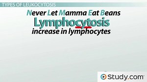 What is Leukocytosis? - Causes & Types