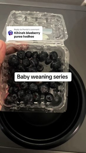 Guide to Making Blueberry Puree for Babies