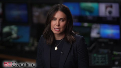 Snorkeling with sperm whales