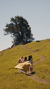 Wild. Vibrant. Intense. Introducing DAISY WILD EAU SO INTENSE, the latest addition to the Daisy Marc Jacobs collection. Photographed by Nick Newbold Director of Photography Sam Levy Set Designed by Patience Harding Styled by Clare Bryne Hair by James Pecis Makeup by Diane Kendal Starring Ever Anderson and Marlee Guillory Photographed in April 2024 in Mount Tamalpais, California. | Marc Jacobs Fragrances