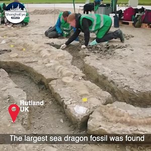 Meet the Rutland sea dragon, one of the most important finds in British palaeontological history. The creature is an ichthyosaur, a large marine reptile, and it is approximately 180 million years-old. The skeleton measures around 10 metres in length and the skull weighs approximately one tonne, making it the largest and most complete fossil of its kind ever found in the UK. | ShanghaiEye
