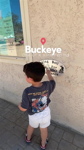 Experience the Cutest Petting Zoo in Buckeye, AZ
