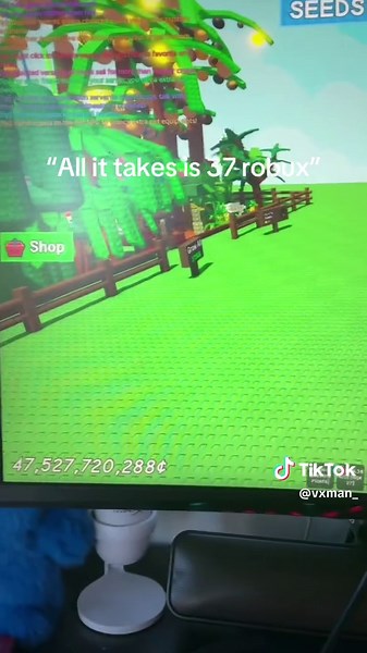Cultivant un jardin sur Roblox: coût et astuces