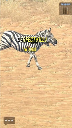 ZEBRA🦓 & LEOPARD HUNTING PERFECT SHOT 2026