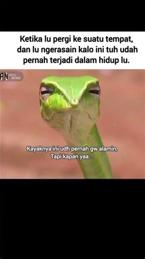 meme fb lagi #memefb #memes #memecringe #funny #ytshorts