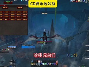 魔兽世界正式服cd君插件可以用吗