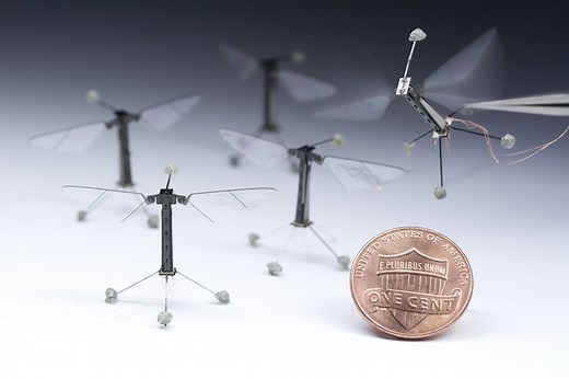 Robotic insects make first controlled flight