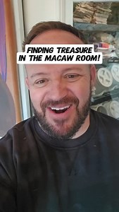 193 reactions · 20 comments | Finding Treasure inside the Macaw room! What is it? #parrot #parrotsoftiktok #parrots #fyp | Paradise Parrot Rescue | Facebook