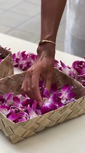 14 reactions | For you, a lei. In the spirit of giving, this Hawaiian tradition carries aloha in every flower picked, sewn, and gifted— a symbol of love, respect, and connection. | Sheraton Princess Kaiulani | Facebook