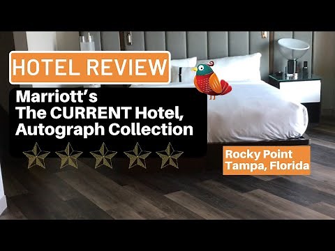 Hotel Review: Marriott's The Current Hotel, Autograph Collection in Tampa, Florida