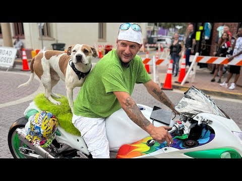 Daytona Police Bust Hayabusa Dog Rider & Take His Bike! Full Traffic Stop 🛑