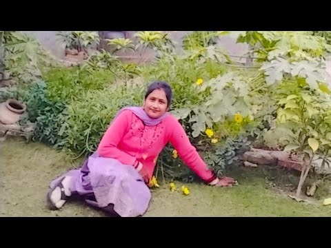 good morning everyone Radhe Radhe Jay Shri Krishna sunita anmol blog is live हमारे लाइव में आप सभी क