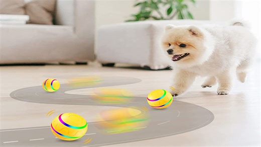 Watch Interactive Dog Toys Ball makes your pet more fun! on Amazon Live