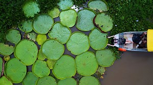 Bangladesh, Sylhet, Road