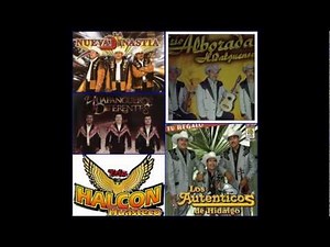 Mix ( 10:00 minutos de Puros Huapangos )