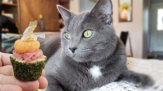 Cupcakes made from Sushi for my Cats