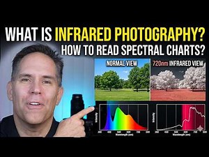 Infrared Photography Explained (Spectral Charts Made Simple)