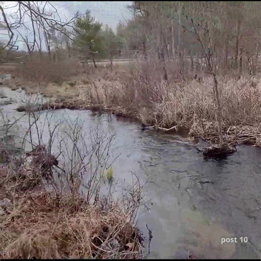 Unclogging Culverts. Beavers Damage 2 Roads | Post 10