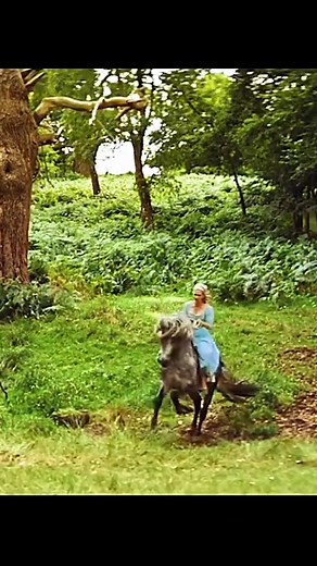 Cinderella Movie Part 2 Highlights