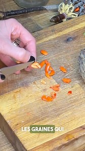 22K views · 373 reactions | Le magnolia est un arbre ancestral symbole de fidélité avec de grosses fleurs aux senteurs bien agréables. Voici comment récolter les graines pour en faire pousser dans ton jardin… résultat dans 45 j Tu pourras ensuite te prendre pour une clodette et chanter  Magnolias For Ever de Claude François  #magnolias #jardin Tournage devant le superbe Magnolia de @ecoledubreuil … je te dis ça je dis rien ! | Caroline Munoz | Facebook