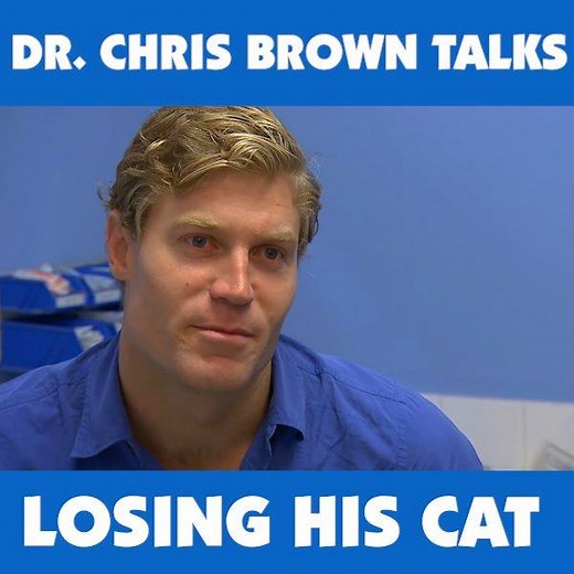 😭😭 Tear-jerker Alert 😭😭 The staff at Bondi Junction Veterinary Hospital think Dr. Chris Brown to adopt a new cat. 🐱❤️ But is he ready to move on?? 😢 😢 | Bondi Vet
