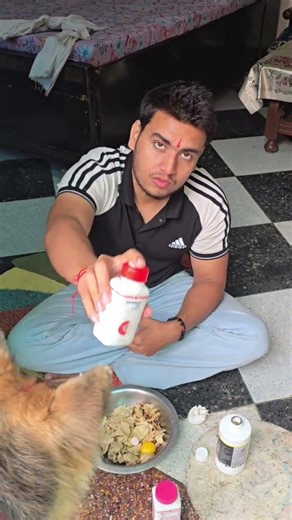 PART=11 GSD DIET #germanshepherd #doghealthcare #dogcare #dogdiet #diettips #dogshorts
