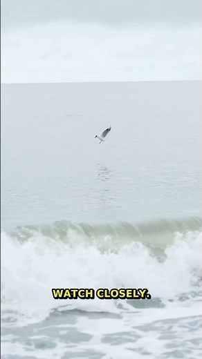 10 Essential Stops For Scenic Road Trips | Scenic Road Mini-Guide