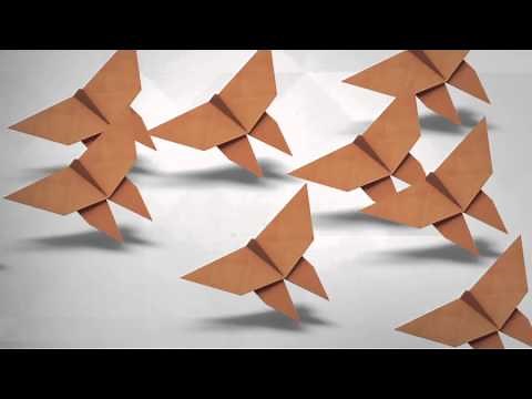 WWF Together - Monarch Butterflies