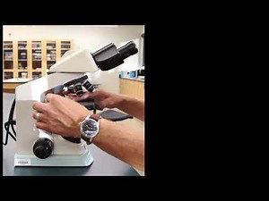 Binocular Compound Microscope - Focusing