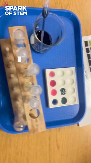 🍋ACIDS & BASES 🍋 Testing acids and bases using pH paper strips, red cabbage juice, universal indicator, litmus paper, and bromothymol blue What careers does this apply to? Chemist Materials Scientist Environmental Scientist Chemical Engineer And many more! Credit: @mrs.sciteacher on Instagram! Look out for our weekly posts with videos, photos, and other resources that will spark your attention! Follow along and learn more about these amazing content creators who are passionate about STEM. Tag 