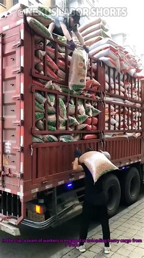 Manual Unloading: Teamwork Makes Heavy Cargo Handling Look Easy