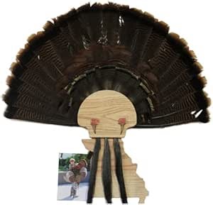 Esh Turkey Fan Mount Kit - Customized State Turkey Tail Mounting Plaque - Natural Oak Wood - Missouri