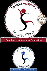 Muscle Anatomy Master Class
