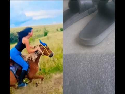 #horsetrack #horse #horseriding #horsegirl