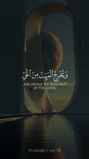 أُكتب شيء تؤجر عليه: "ولك أجر من قرأه"🤍🤍