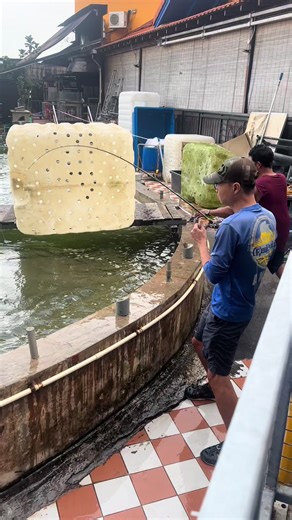 Big Grouper Fishing Adventure