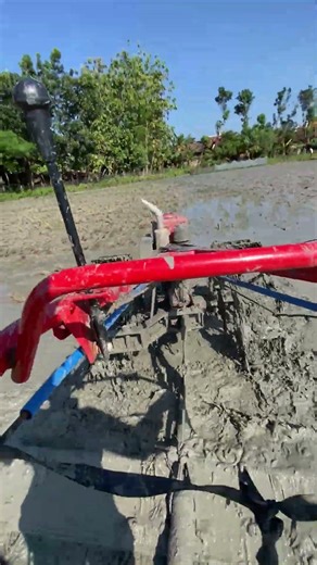#automobile #traktortangan #chainsawstihl #farming #chainsaw #sawah #mancing #tutorial