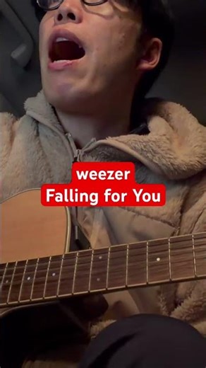 weezer / Falling For You / cover