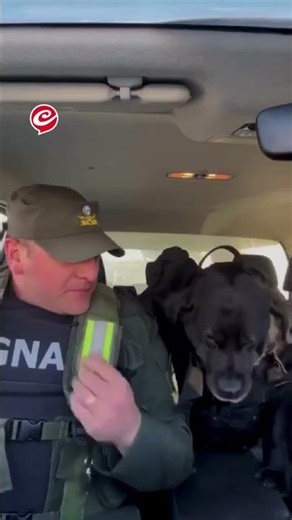 El emotivo mensaje de un #oficial para despedir a #Peki, una #perrapolicía