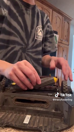 Roomba Renovation: 5 Dogs & 2 Cats 🐶🐱