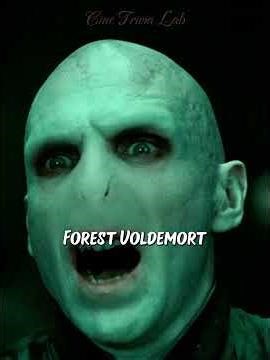Voldemort's seven Horcruxes were destroyed by seven different people