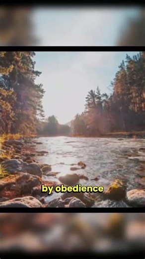 Islamic View of Peace #bible #truth #scriptureexplained #bibletruth #motivation