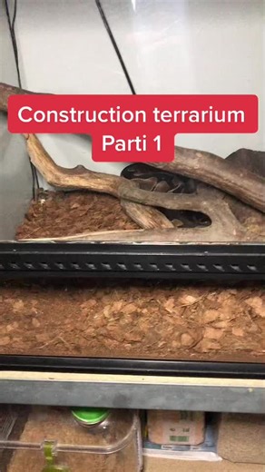 Projet terrarium parti 1 #terrarium#python #serpents #projet#elevage